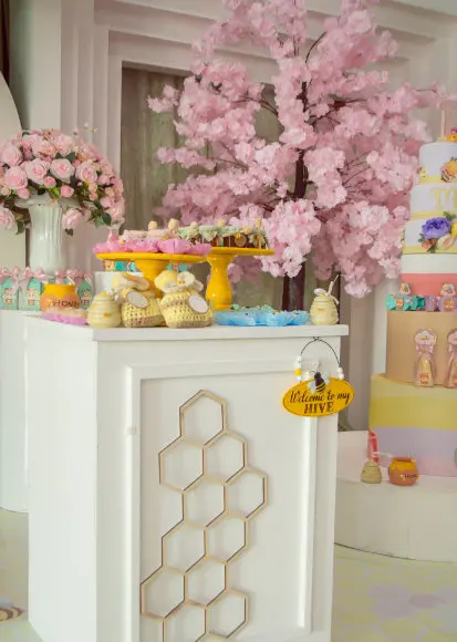 Children's Birthday Party Planner