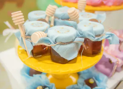 Kids Birthday Professional Planner